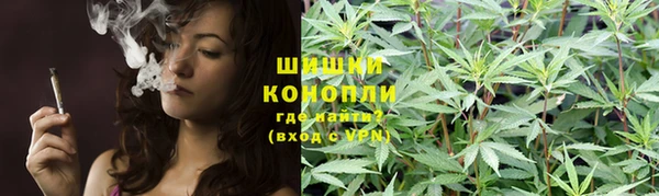 apvp Мегион